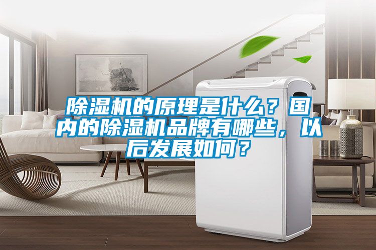 除濕機的原理是什么？國內(nèi)的除濕機品牌有哪些，以后發(fā)展如何？