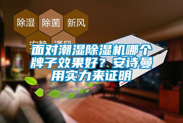 面對潮濕除濕機(jī)哪個牌子效果好？安詩曼用實力來證明