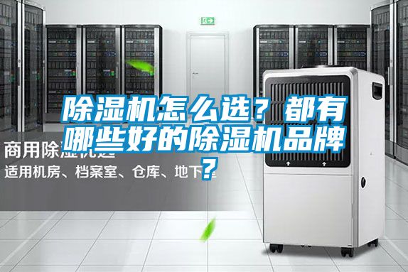 除濕機(jī)怎么選？都有哪些好的除濕機(jī)品牌？