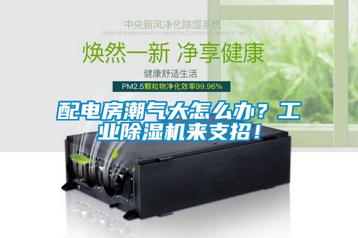 配電房潮氣大怎么辦？工業(yè)除濕機(jī)來(lái)支招！