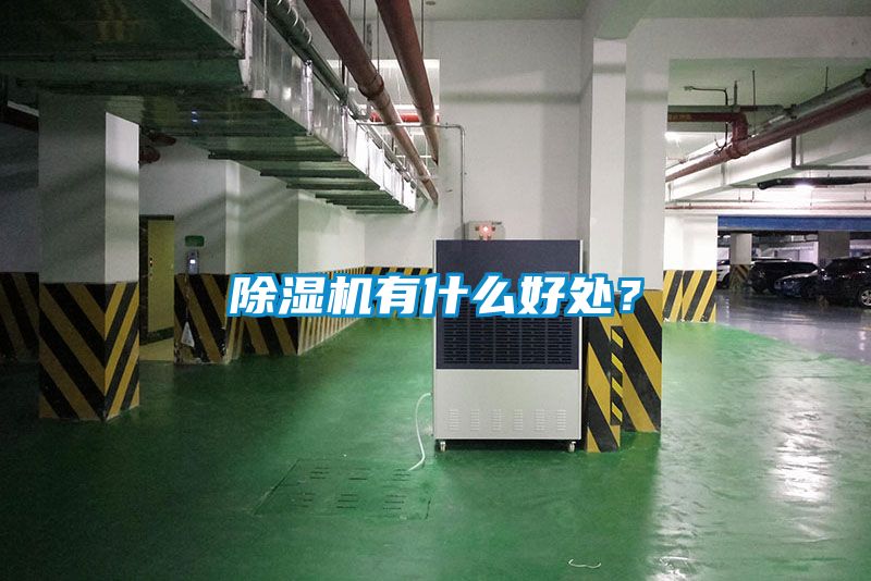 除濕機(jī)有什么好處？
