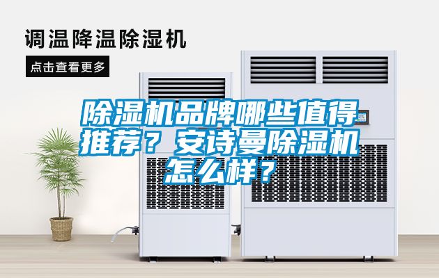 除濕機品牌哪些值得推薦？安詩曼除濕機怎么樣？