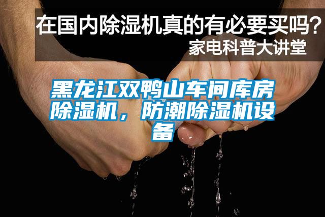 黑龍江雙鴨山車間庫房除濕機(jī)，防潮除濕機(jī)設(shè)備