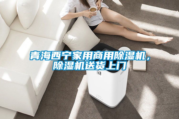 青海西寧家用商用除濕機，除濕機送貨上門