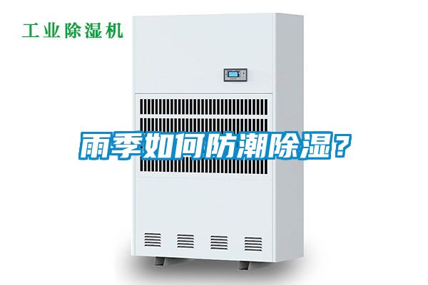 雨季如何防潮除濕？