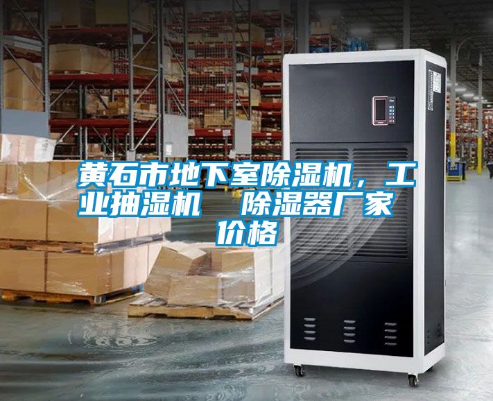 黃石市地下室除濕機(jī)，工業(yè)抽濕機(jī)  除濕器廠(chǎng)家 價(jià)格