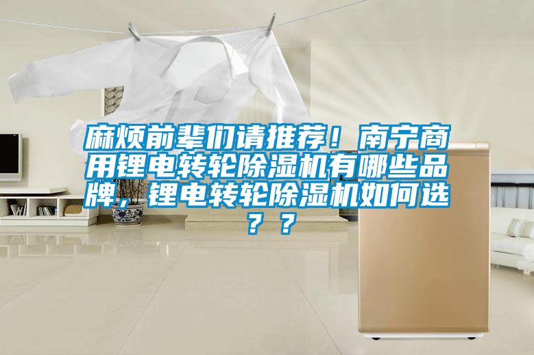 麻煩前輩們請(qǐng)推薦！南寧商用鋰電轉(zhuǎn)輪除濕機(jī)有哪些品牌，鋰電轉(zhuǎn)輪除濕機(jī)如何選？？
