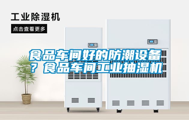 食品車間好的防潮設(shè)備？食品車間工業(yè)抽濕機