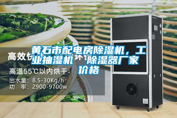 黃石市配電房除濕機(jī)，工業(yè)抽濕機(jī)  除濕器廠家 價(jià)格