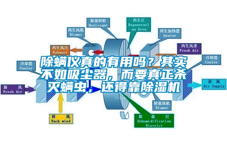 除螨儀真的有用嗎？其實(shí)不如吸塵器，而要真正殺滅螨蟲，還得靠除濕機(jī)